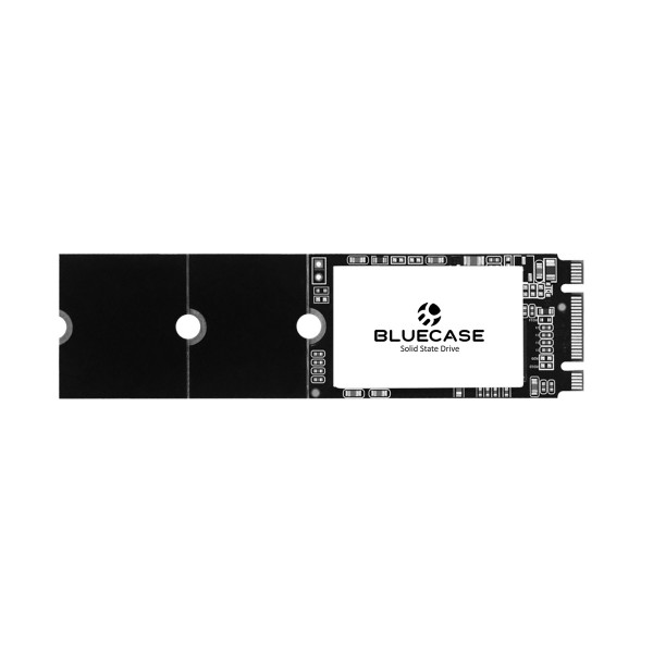 SSD BLACKBIRD M.2 2280 120GB BLUECASE PN BSS2M10/120G